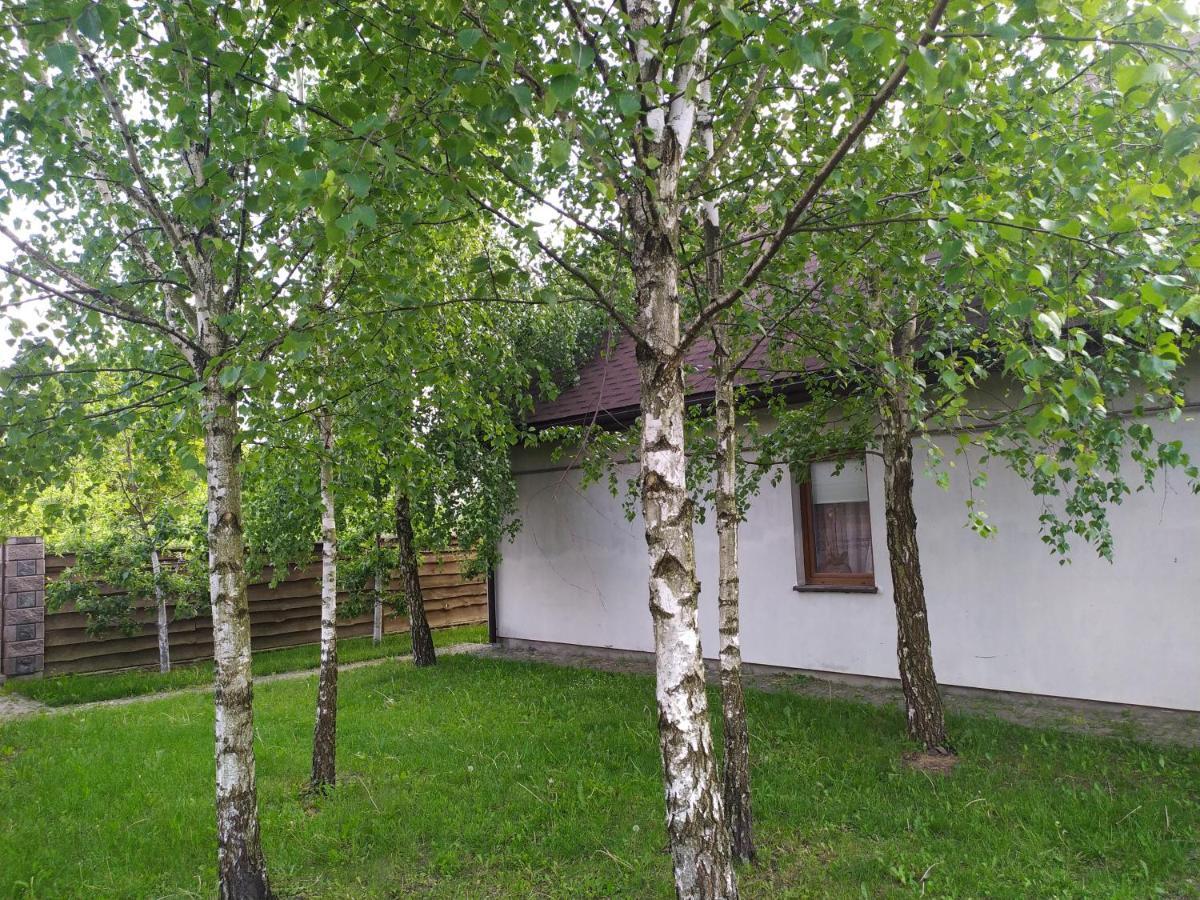 House Of Vitaliy بوتشايف المظهر الخارجي الصورة